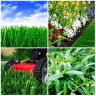 Logo for Lawn Mowing Service Melbourne