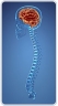 Logo for Dr. Saeed Kohan Neurosurgeon Sydney
