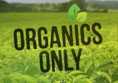Organics Only
