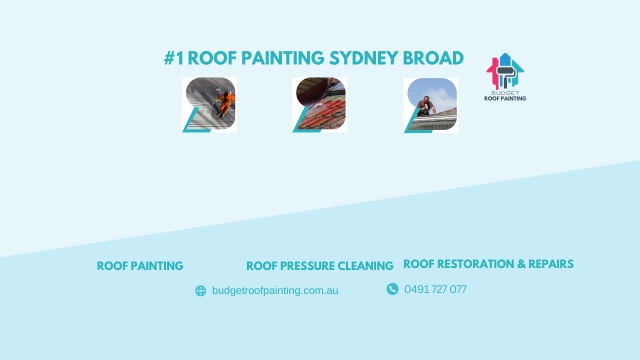 Budget Roof Painting