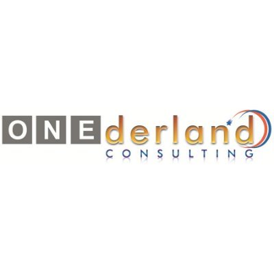 ONEderland Consulting profile picture
