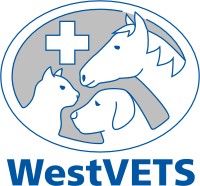 Westvets Veterinary Practice