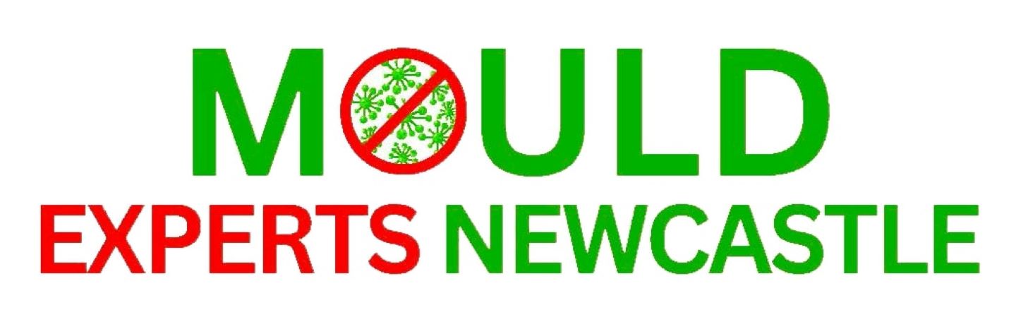 Mould Experts Newcastle
