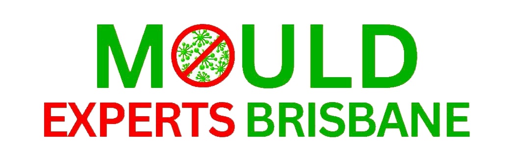 Mould Experts Brisbane