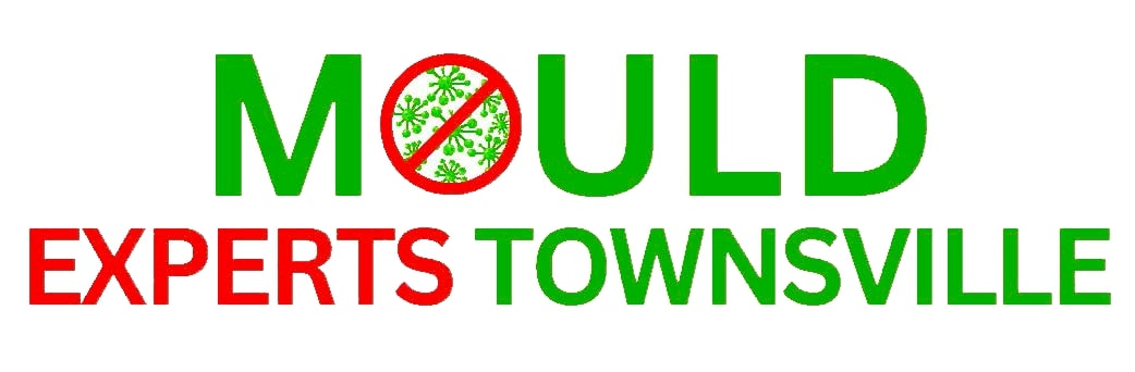 Mould Experts Townsville