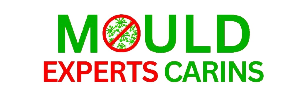 Mould Experts Cairns