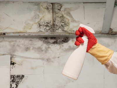 Mould Experts Sunshine Coast