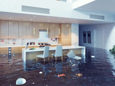 Mould Experts Toowoomba