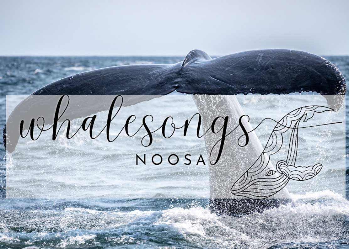 Whale Songs Noosa Charters & Tours Logo
