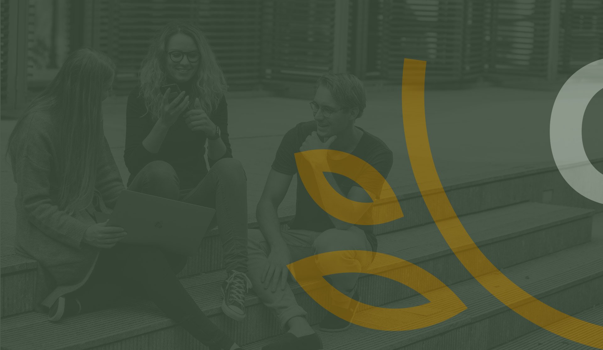 Olivetree Marketing I Boutique Marketing Agency Sydney