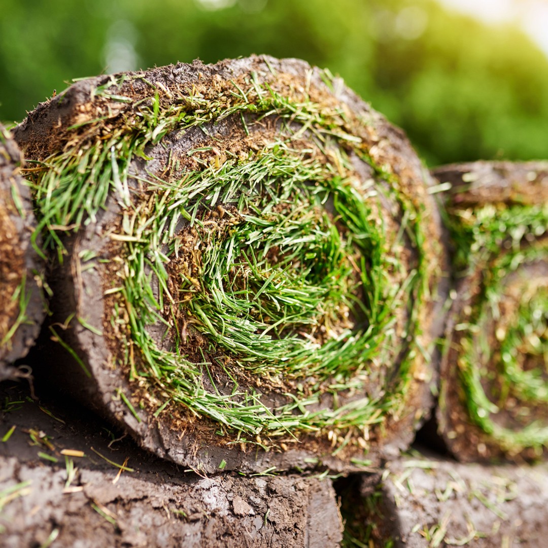Gingin Turf