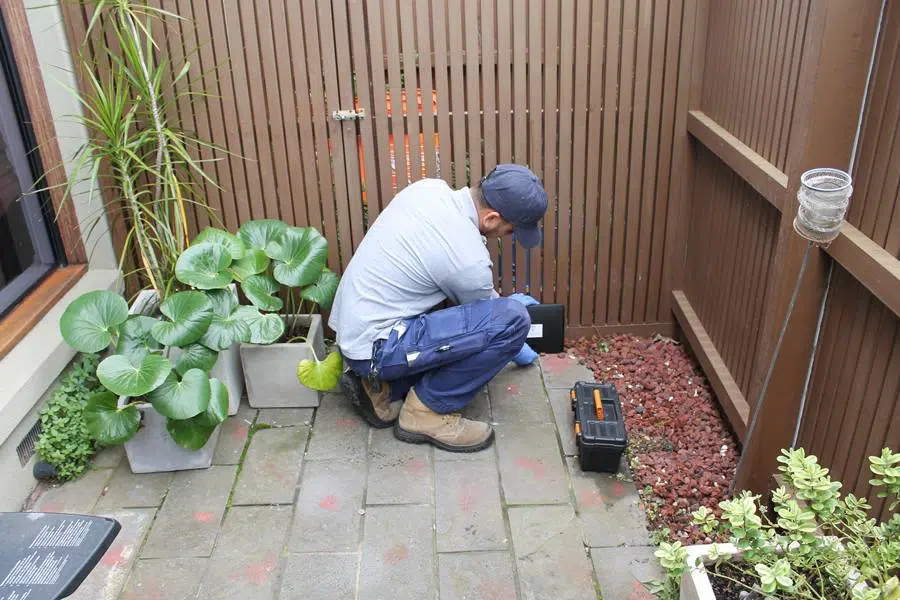 Tom's Pest Control Adelaide