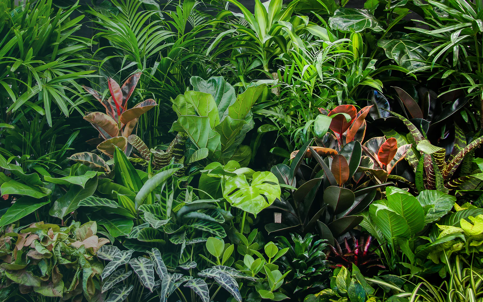 The Grow Centre