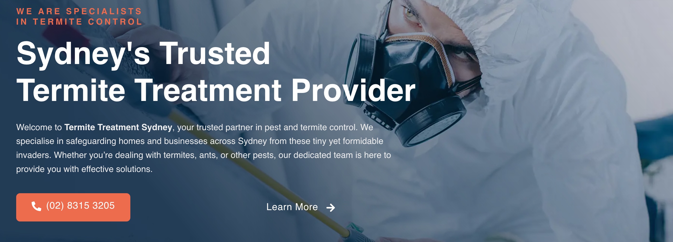 Termites Treatment Sydney
