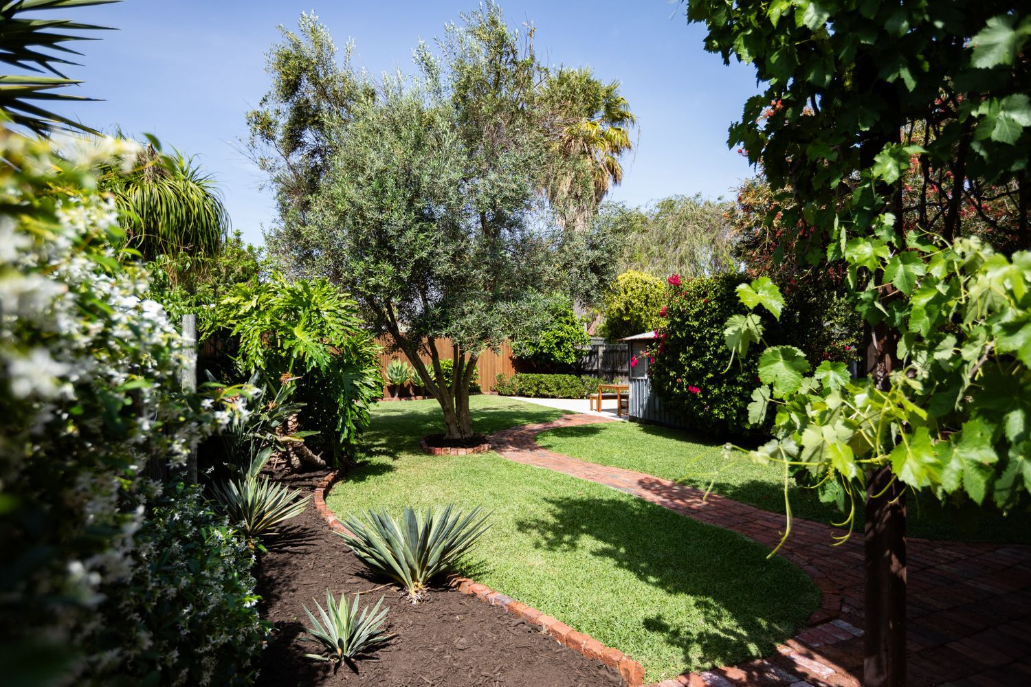 Clarence Gardens