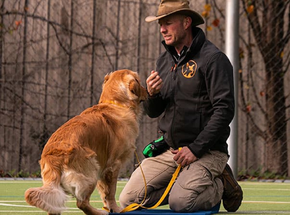 Melbourne Dog Trainers