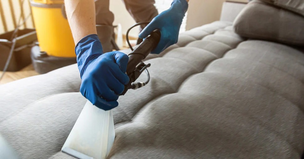 Couch Cleaning in Buderim: Squeaky Clean Sofa