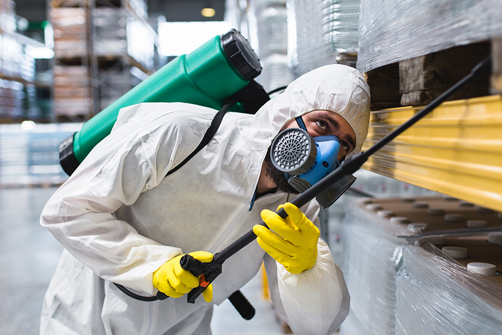 Best Pest Control Adelaide