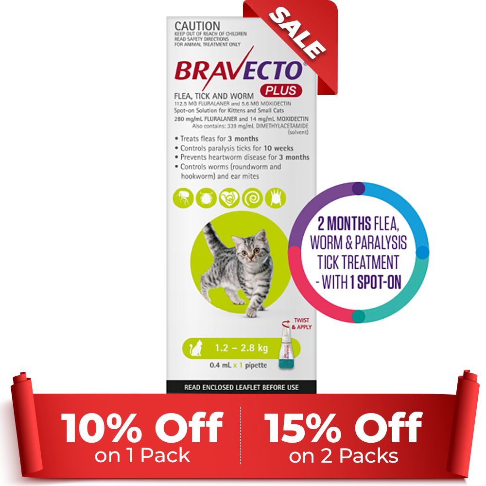 Bravecto Plus for Small Cats Green | Flea , Tick & Worm Protection | Black Friday Sale