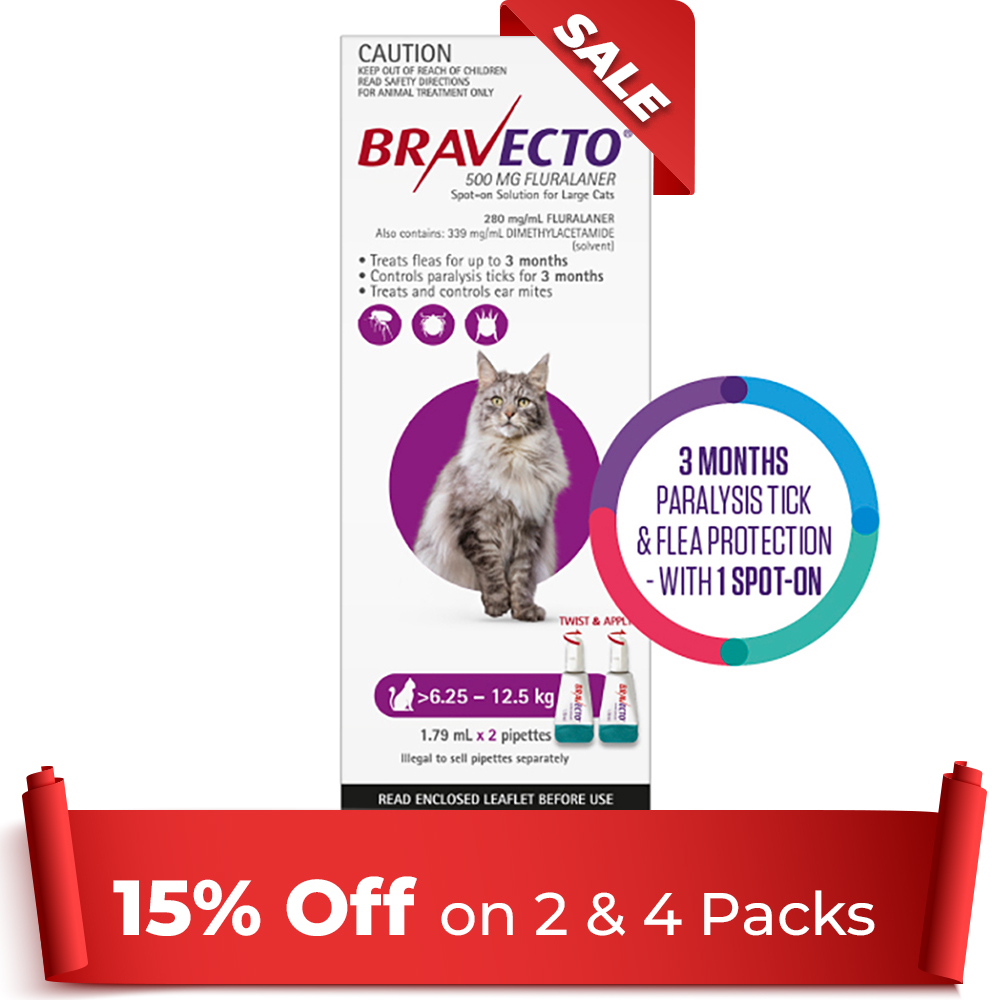Bravecto Spot-On Purple for Large Cats | Maximum Flea & Tick Control | Black Friday Sale