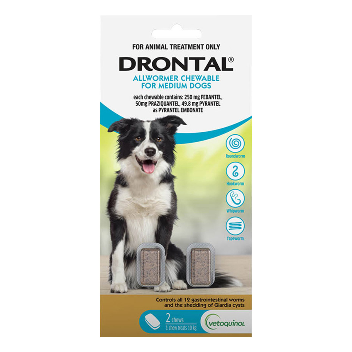Buy Drontal Chewable for Dogs up to 10kg Aqua Pack – Tasty Worming Solution