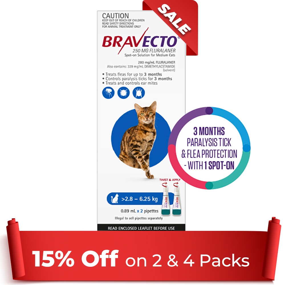 Bravecto Spot-On Blue for Medium Cats | Powerful Flea & Tick Defence | Black Friday Sale