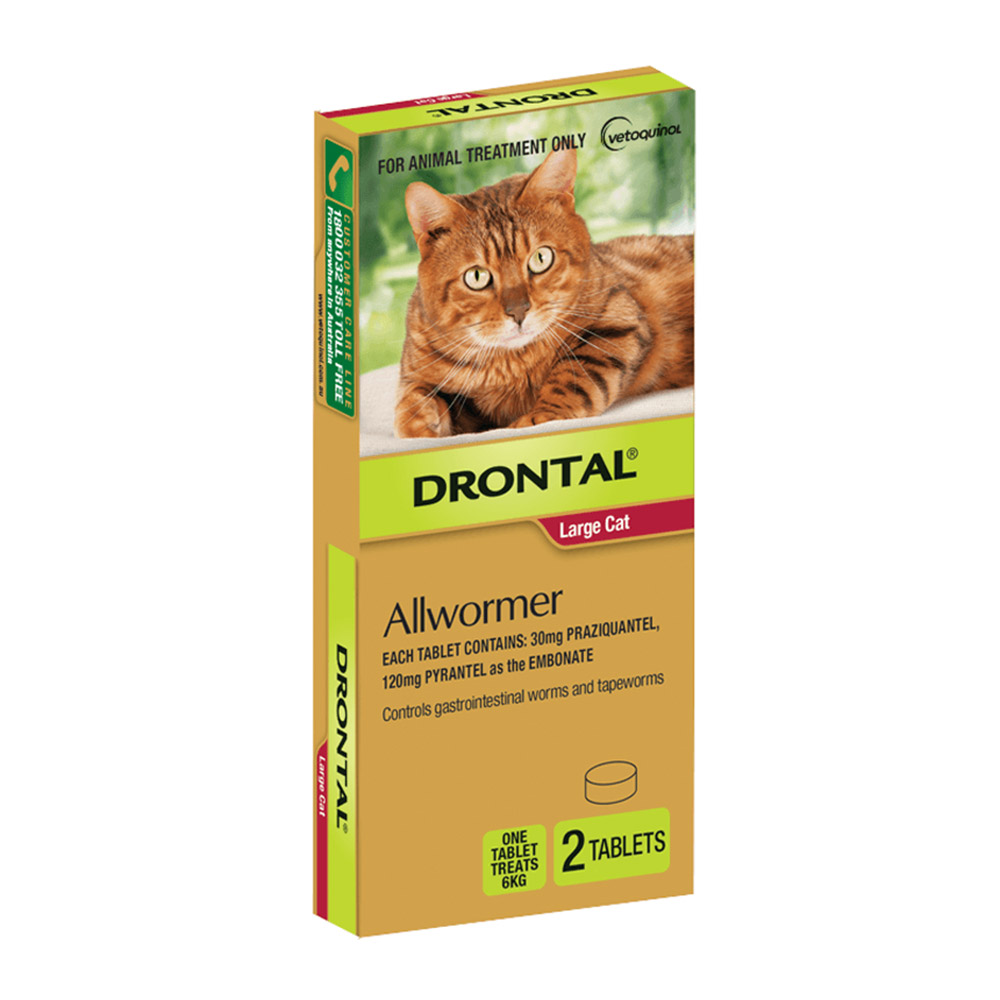 Shop Drontal Wormers for Large Cats up to 6kg – Broad Spectrum Worming