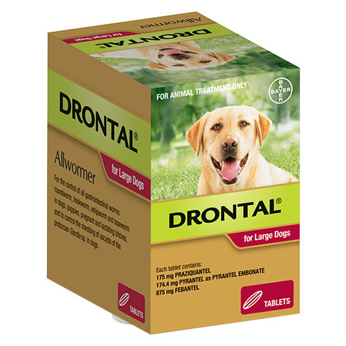 Buy Drontal Wormers for Dogs 35kg Red Pack – Powerful Deworming Tablets