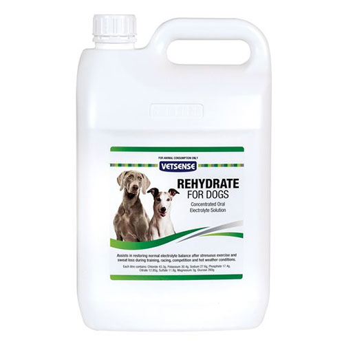 Vetsense Rehydrate: Essential Hydration for Dogs