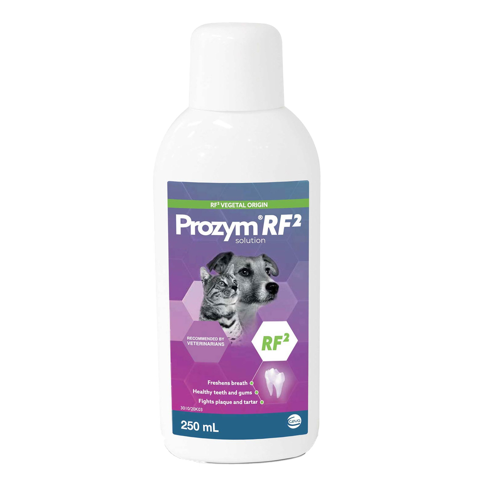 Prozym RF2 Dental Solution for Cats & Dogs | Oral Health Simplified