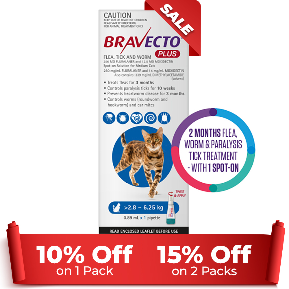 Bravecto Plus for Medium Cats Blue | 2-in-1 Parasite Protection | Black Friday Sale