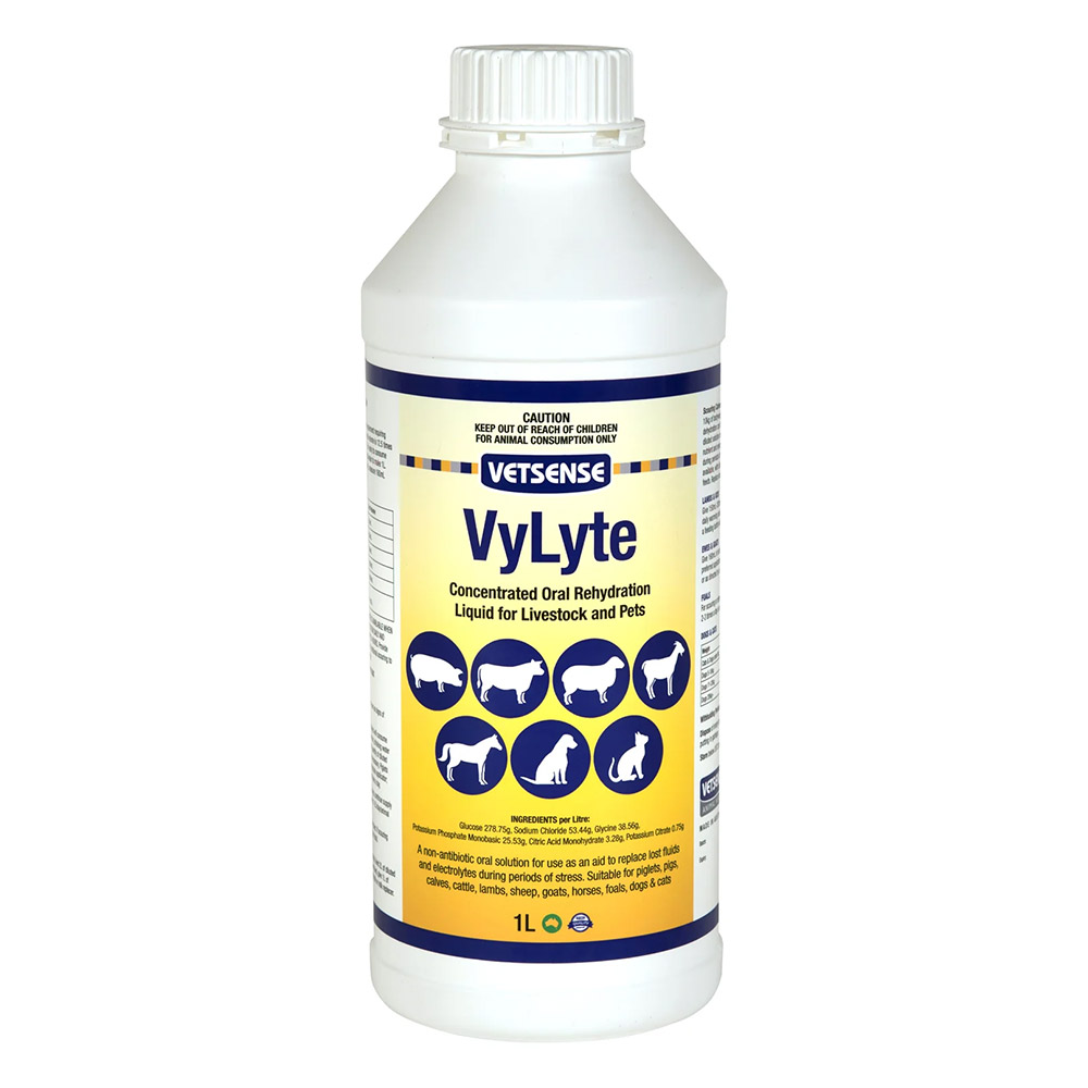 Vetsense Vylyte: Oral Rehydration for Dogs
