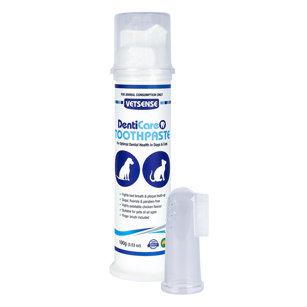 Vetsense Denticare Toothpaste Kit for Dogs - Complete Oral Care