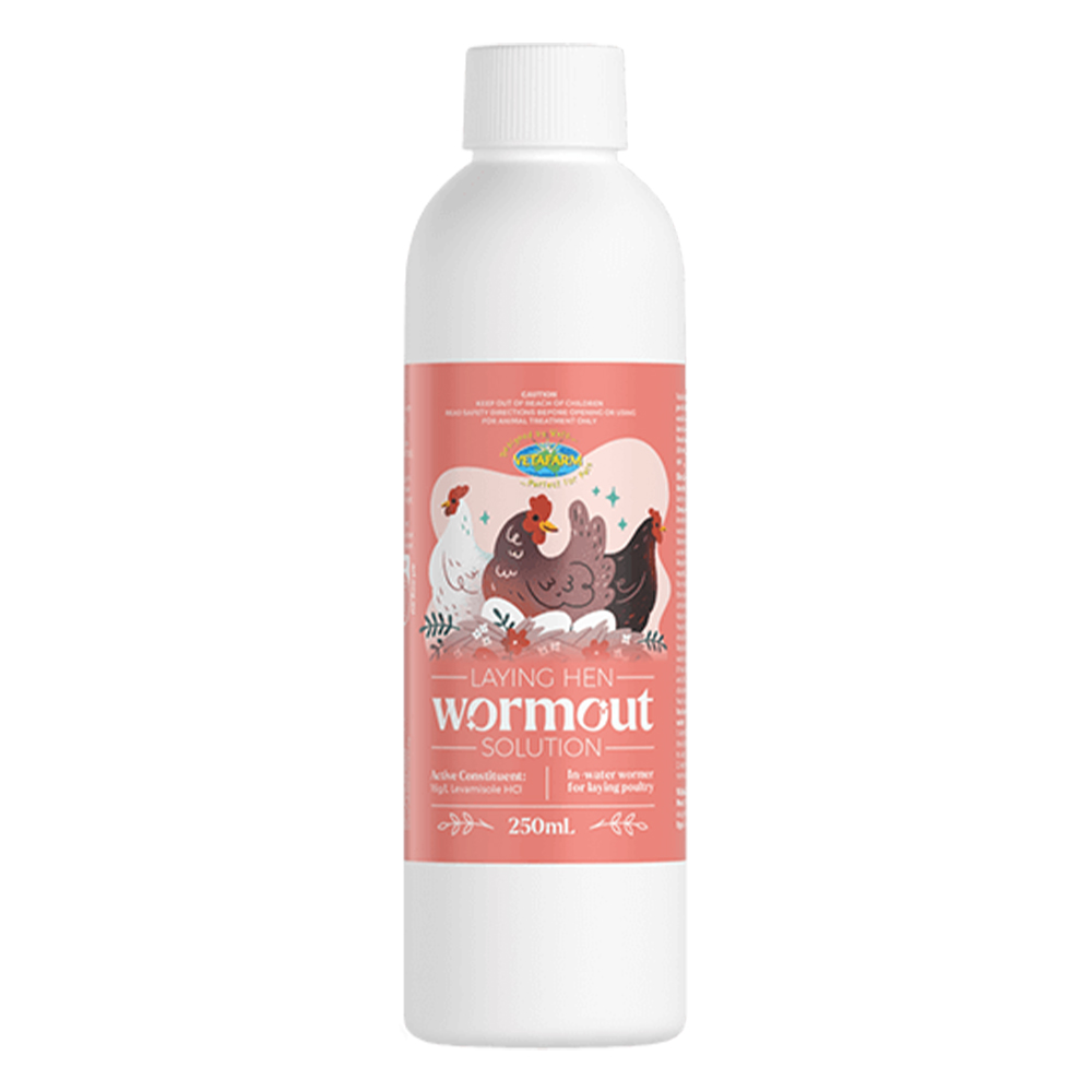 Vetafarm Laying Hen Wormout Solution | Poultry Worm Control