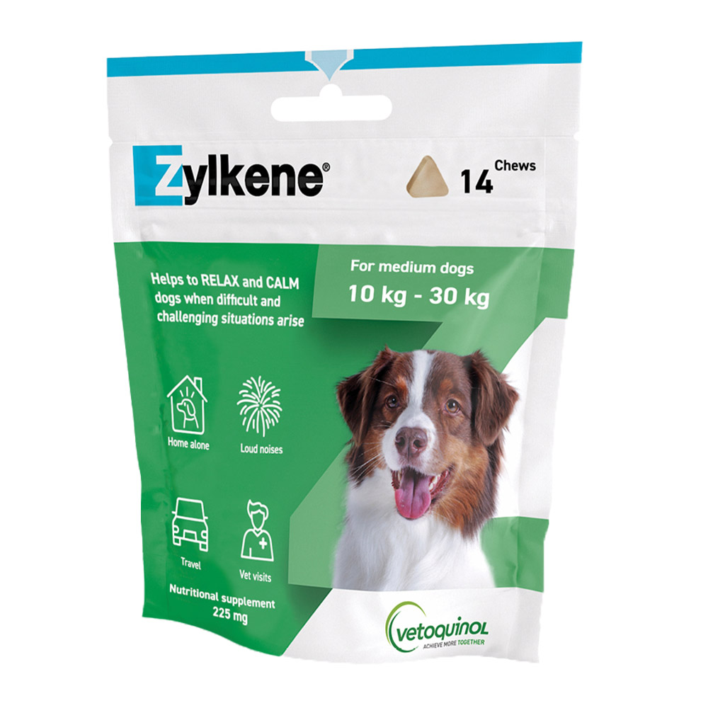 Zylkene Calming Chews: Stress Relief for Dogs