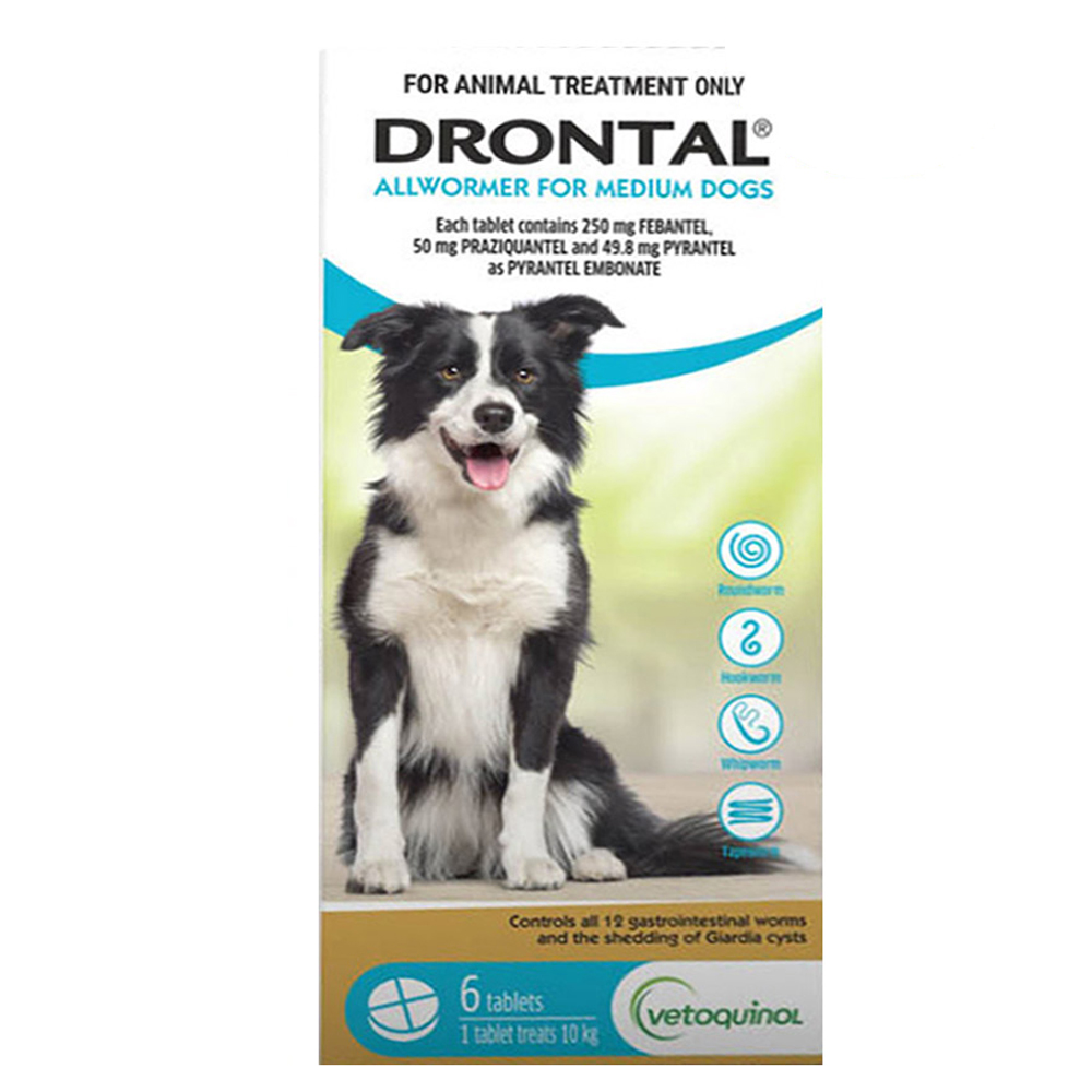 Shop Drontal Wormers for Dogs 10kg Aqua Pack – Broad-Spectrum Protection