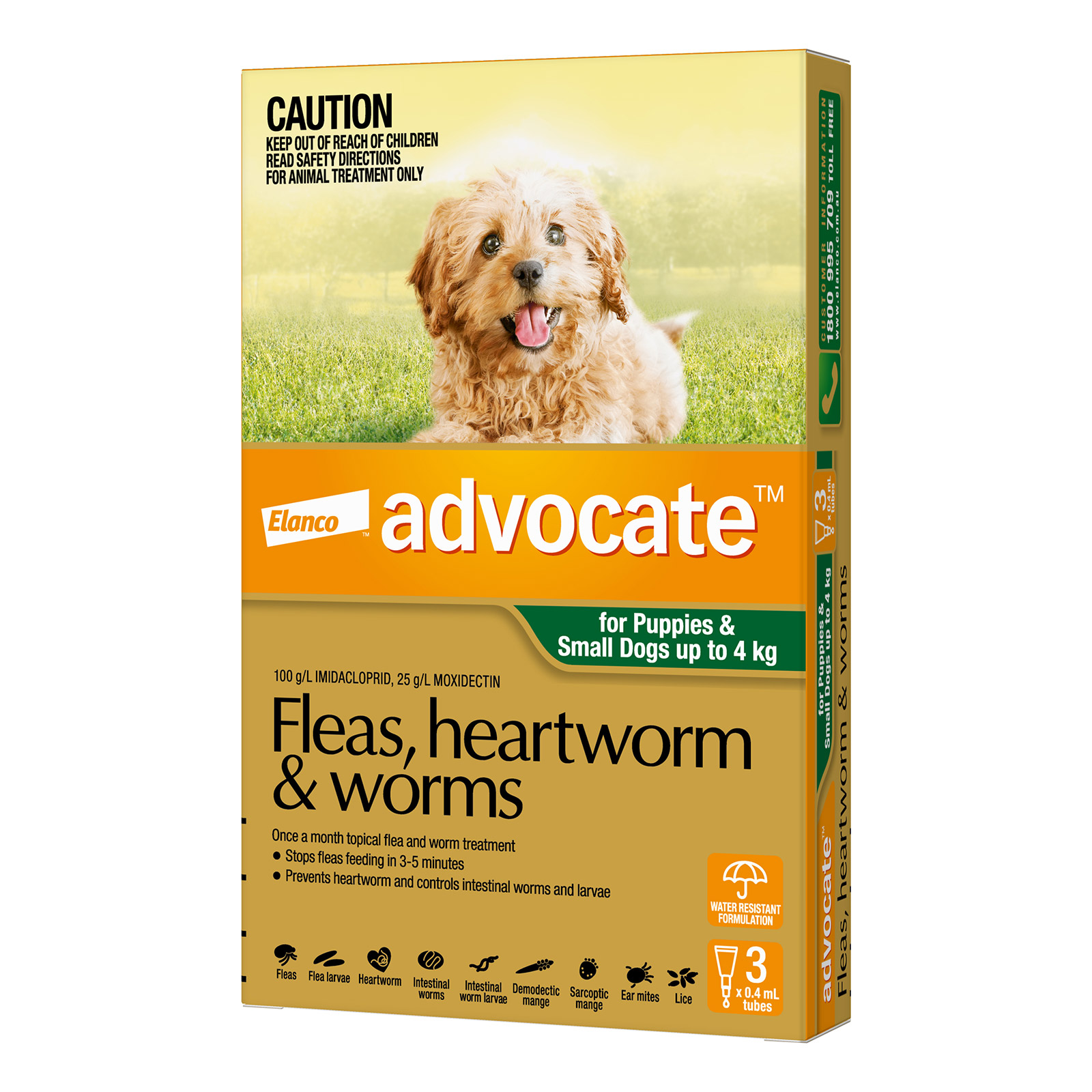 Advocate for Dog
