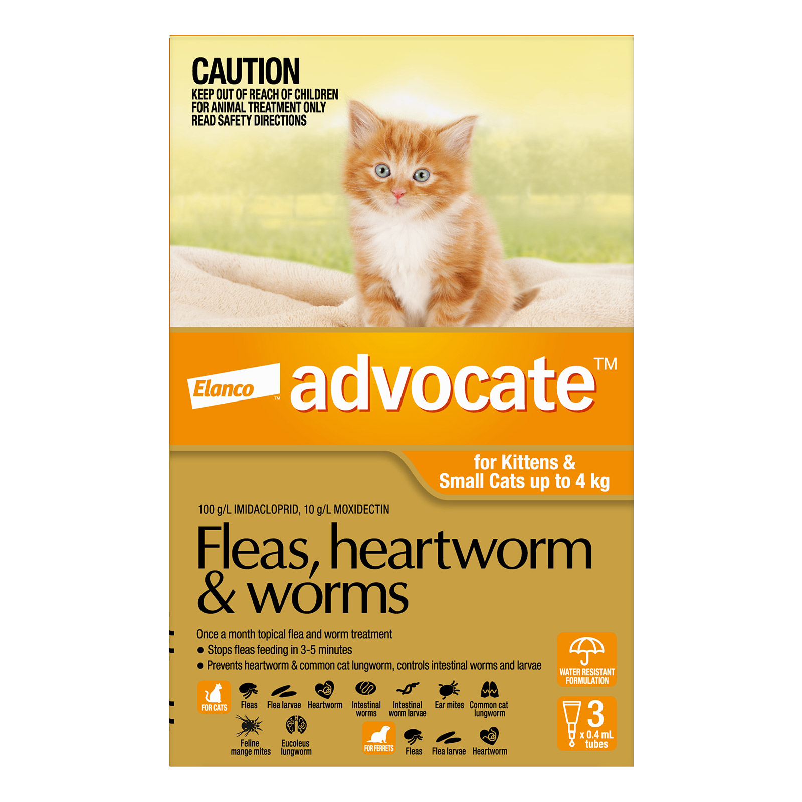 Advocate for Cat