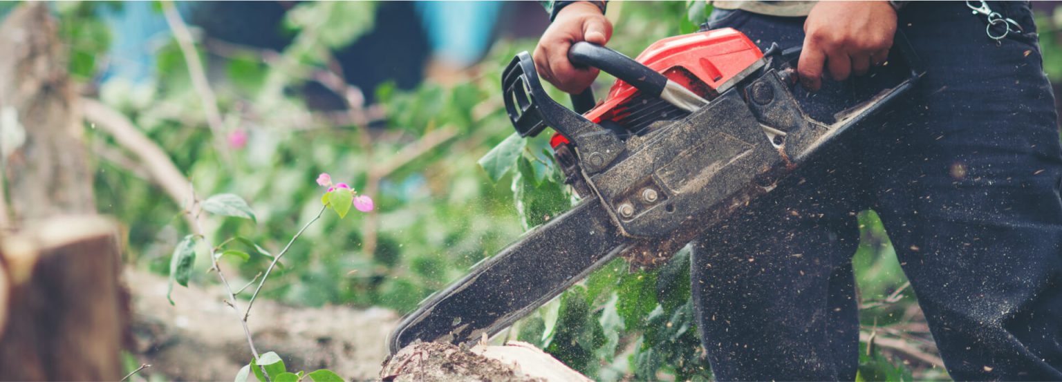 J & B Tree Service