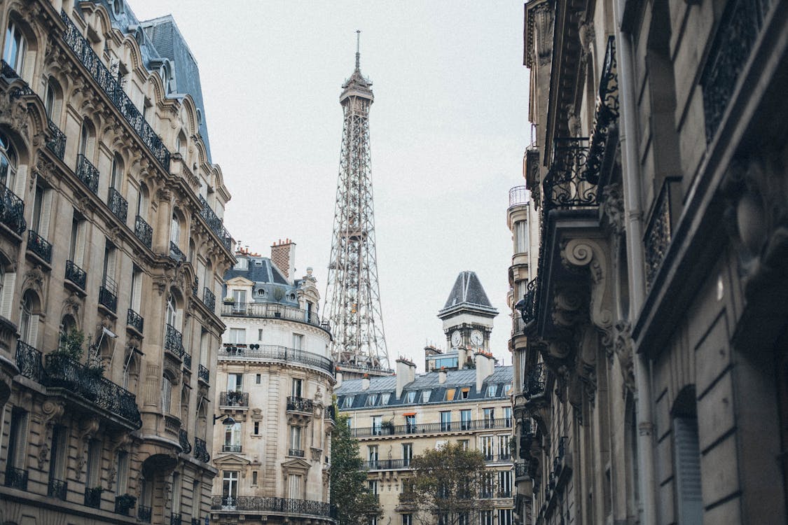 Frenchly