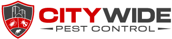 City Wide Pest Control