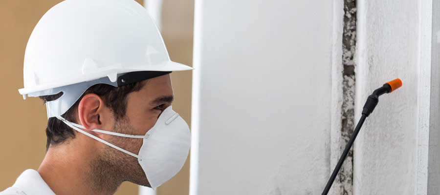 Pro Pest Control Townsville