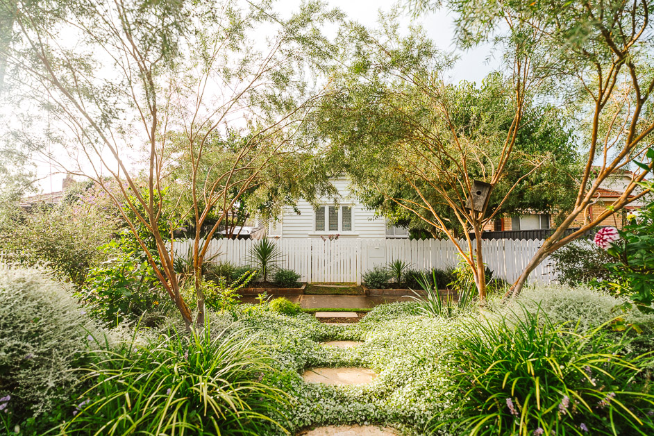 Fluro Gardens
