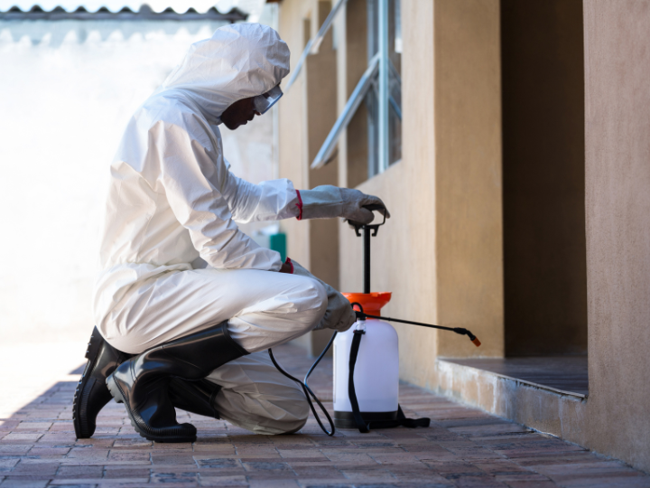 Daily Pest Control Bellevue Hill