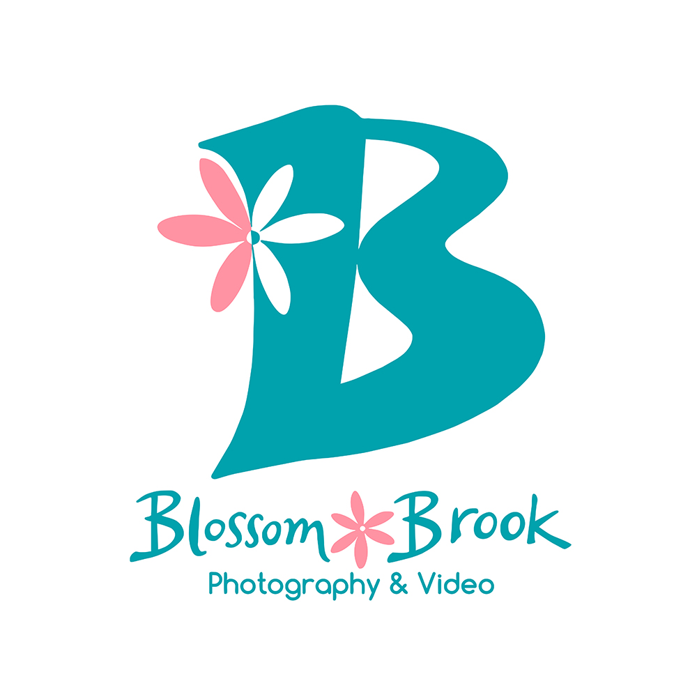 Blossom Brook Studio profile picture