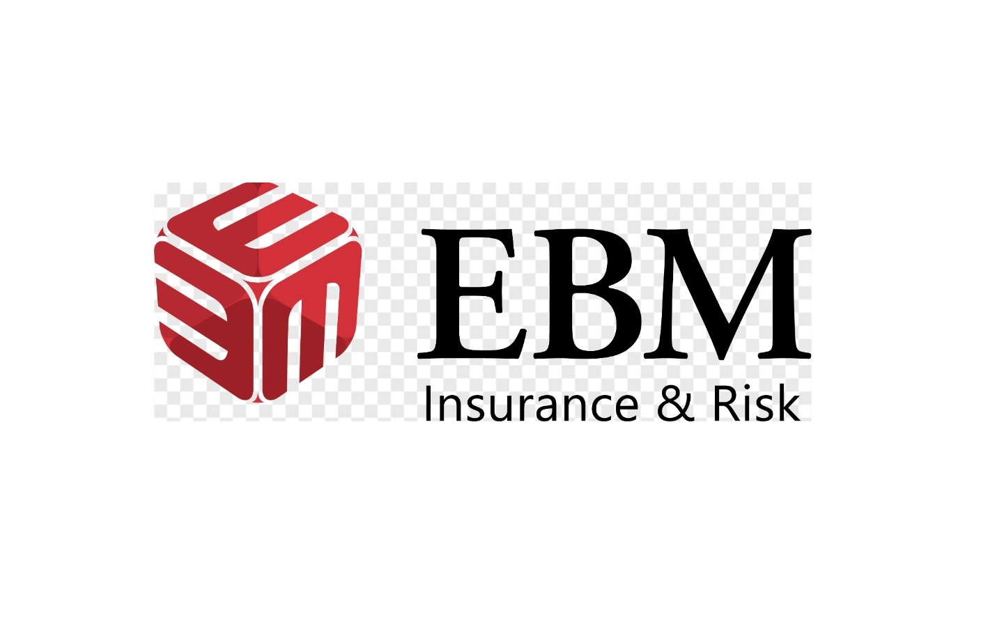 EBM Insurance & Risk Logo