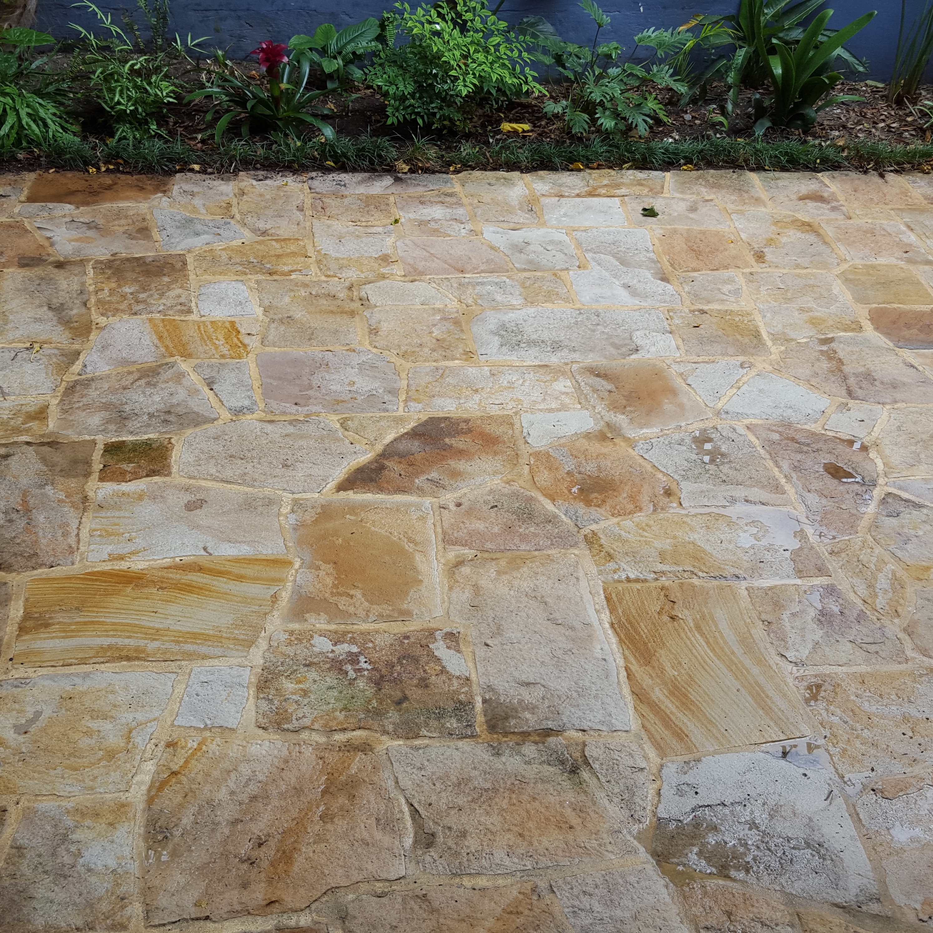 The image showcases a beautifully constructed stone pathway or patio made from sandstone pavers. The stones are cut into varying shapes and sizes, creating an organic and appealing mosaic effect. The warm, earthy tones of the stone are highlighted, suggesting that the installation has been meticulously completed. Surrounding the stonework, there is a well-maintained garden with lush green foliage and colourful plants, which enhances the overall aesthetic of the area. This setting exemplifies the quality craftsmanship and attention to detail characteristic of Masters Bricklaying and Stonemasonry, providing a stunning outdoor space that blends seamlessly with nature.