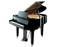 Logo for Grand Upright & Digital Pianos Austral Piano World