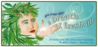 A Breath Of Fresh Air Logo