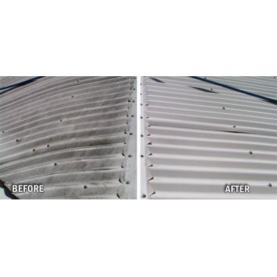 Roof Cleaning & House Washing.